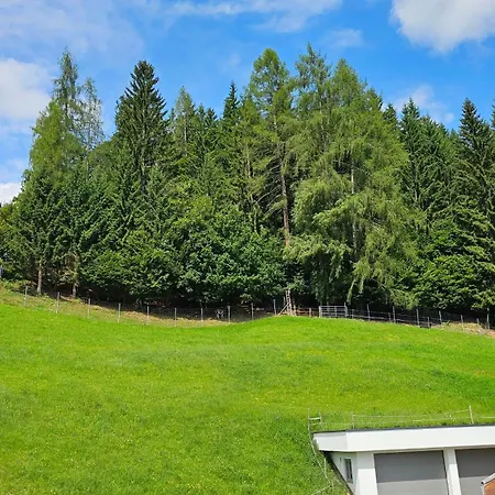 Pfleger Ranch Am Schoenegg Gut *