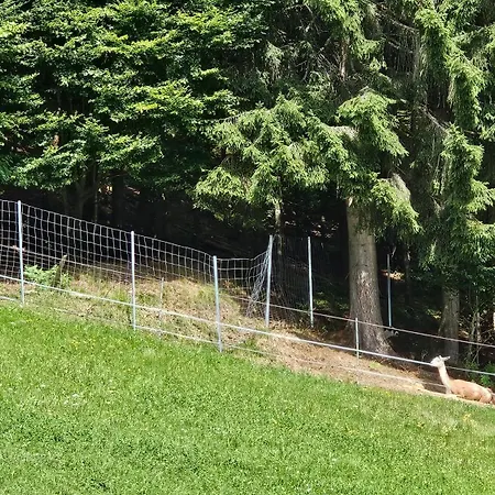 Pfleger Ranch Am Schoenegg Gut Appartement Bischofshofen