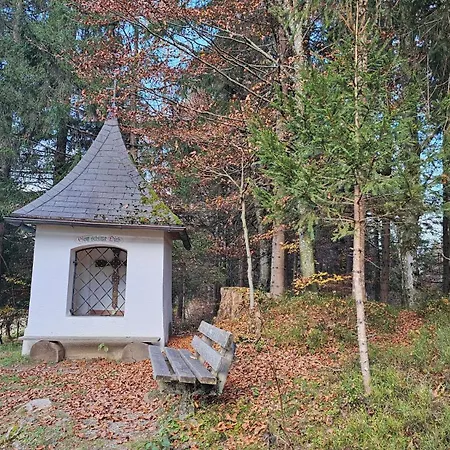 Pfleger Ranch Am Schoenegg Gut *