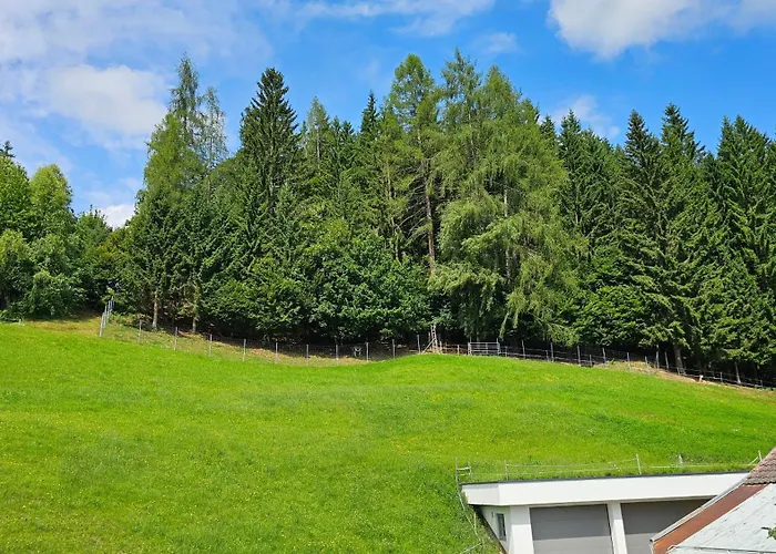 Pfleger Ranch Am Schoenegg Gut *