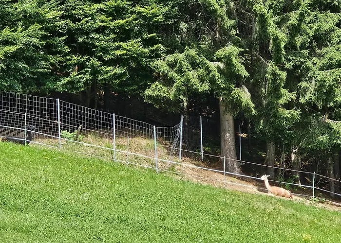 Pfleger Ranch Am Schoenegg Gut Appartement Bischofshofen